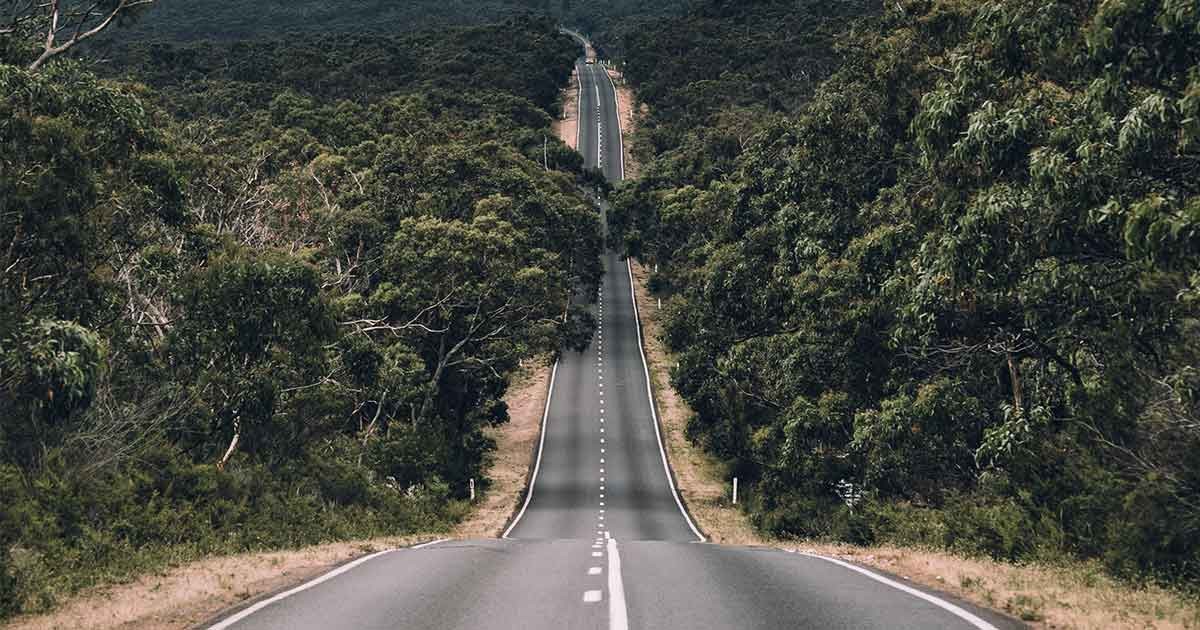 fotografía de una carretera infinita de dos carriles y al lado la vegetación 